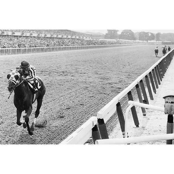 Secretariat Wins At Belmont Photo Wall Art Horse Racing Photos Artwork 8x12