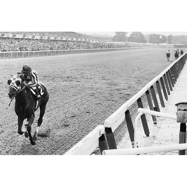 Secretariat Wins At Belmont Photo Wall Art Horse Racing Photos Artwork 8x12