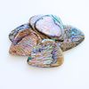 Abalone Tones - Paua Abalone - Guitar Pick