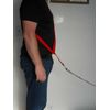 NEW Purple hands-free dog Leash harness.