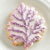 Dulse Cookie Cutter 4 Inch Made in USA by WONDERTORY