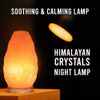 Himalayan Salt Lamp 10 in. Tall with Dimmer Switch - Night Light Table Lamp