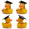 Diploma Rubber Duck