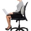 ComfiLife Memory Foam Lumbar Pillow with 3D Mesh and Adjustable Strap Gray