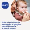 MAM, 3+ Months Cleaning Teether (Random Colour) - Massages Gums and Cleans First Teeth