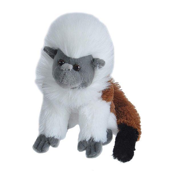 Wild Republic Cotton Top Tamarin Plush, Stuffed Animal, Plush Toy, Gifts for Kids, Cuddlekins, 8 Inches