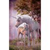 CafePress Enchanted Unicorns Sticker (Rectangle 10 pk)