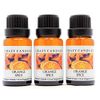 Orange Spice (Made in USA) 3 Bottles 1/2 Fl Oz Each (15ml) Premium Grade Scented Fragrance Oil (Sweet Oranges with Cinnamon and Cloves)