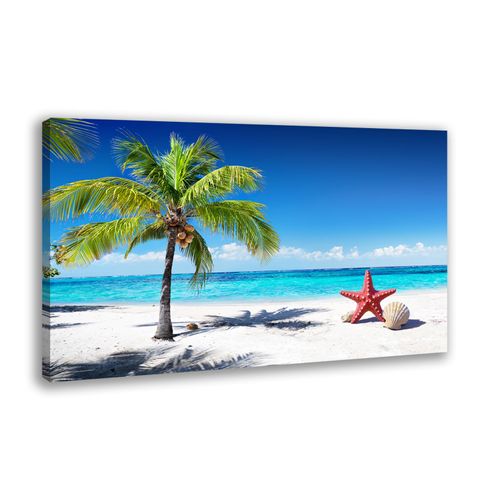 Beach Wall Art Ocean Pictures for Wall Seashell Starfish Painting Summer Coastal Wall Decor for Bathroom Bedroom Office Living Room 12 * 18 IN(Framed)