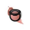 Generic Mineral Powder Blush Renoir