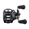DAIWA 21 Tattoora TW 300XH