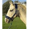 Rhinegold Crystal Star Headcollar & Rope Set,navy/green