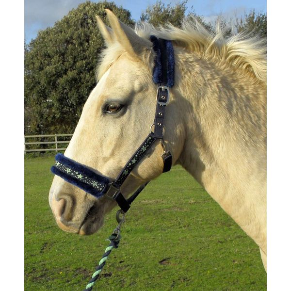 Rhinegold Crystal Star Headcollar & Rope Set,navy/green