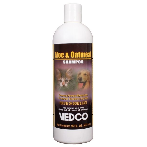 Aloe & Oatmeal Shampoo (16 oz)