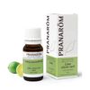 プラナロム ライム 10ml （PRANAROM ケモタイプ精油) 並行輸入品 [並行輸入品]