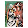Darice CPNMIN-104 Penbynumber Mini, Jungle Tiger