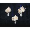 Three (3) 2 to 3" Pink Murex Sea Shell Nautical Beach Decor Tropical