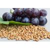 Antiaging Antioxidant supplement - CLA – GRAPE SEED EXTRACT COMBO - grape seed
