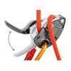 Petzl (Master Crane) Do the "Violet [parallel import goods] [並行輸入品]