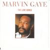 Marvin Gaye Love Songs