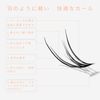 LASHIDOL Partial False Eyelashes, Pine Exk, Self False Eyelashes, Natural, Popular, DIY, Easy Eyelashes, 0.4 - 0.5 inches (9 - 12 mm) (Cherry Blossom) (Fishtail Eyelashes, Black)