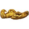 Widmann WID9563S ? Gold Arab Costume Overshoes, Multi-Colour, One Size
