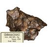 Odessa Meteorite Specimen (Iron Meteorite) Odessa