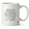 Hippowarehouse Crazy Squirrel Lady Printed Mug Cup Ceramic 10oz
