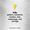 Raid Max Spider and Scorpion Killer, Kills Spiders, Scorpions, Roaches, Ants, Waterbugs, Earwigs, 12 Oz