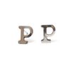 Idin Stud Earrings - Stainless steel initial P stud earrings (approx. 10 mm)