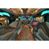 UNIVERSAL - Party BUS lighting with controller - complete kit - 12VDC LED