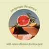 l occitane shea verbena extra gentle soap 250 g