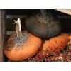Fabric Pumpkin Grubby Orange w/Real Stem Handmade Primitive Fall Halloween Decor