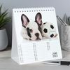 Personalised Dog Desk Calendar. Desk Top Calendar