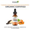 Renew Actives Turmeric Liquid Extract with Ginger & Lemon Oil