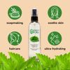 16 fl oz Peppermint Floral Water (Hydrosol)