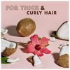 Shea Moisture Coconut and Hibiscus Curl/Shine Shampoo 384 ml