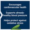 ADVANCED OLIVE LEAF VASCULAR BLOOD PRESSURE SUPPORT 60 Capsule  LIFE EXTENSION