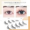 LASHIDOL False Eyelashes Natural Eyelashes False Eyelashes False Eyelashes Thin Transparent Axis Handmade False Eyelashes Eyelashes Natural (manga lash no.01)
