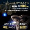 Yuki Pharmaceutical Black Maca Turmeric 20-25 Days 200 Grain Supplement Autumn Turmeric Curcumin