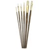 Princeton Artist Brush, Set 9148 6-Pc Brstl/Sable/Tak