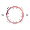 Rossella Migliaccio - Armocromia Winter Cool Lipstick