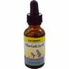 Willow/Garlic Oil Alcohol-Free 1 Fl Oz