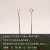 Misuya Sewing Needle, Glass Head