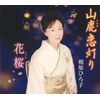 山鹿恋灯り