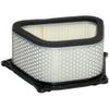 Hiflofiltro HFA3901 Premium OE Replacement Air Filter