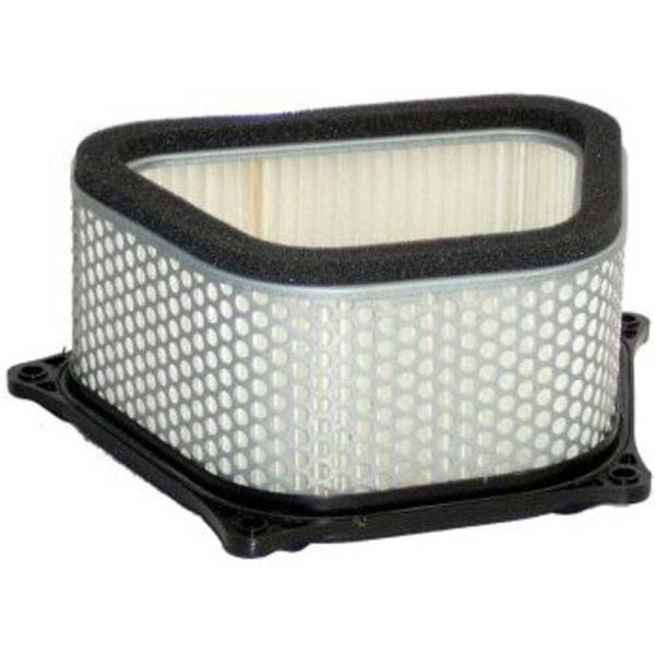 Hiflofiltro HFA3901 Premium OE Replacement Air Filter