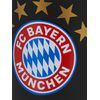 FC Bayern München Mug Logo I Black I 0.3 L