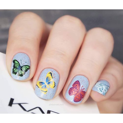 Alexnailart Nail Stamping Plate Butterfly Nail Art Stamp Template DIY Image Template Manicure Stamping Plate Stencil Tools (NA001)