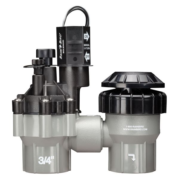 Rain Bird DASASVF075 Professional Grade Anti-Siphon Valve with Flow Control, 3/4" Threaded Female x Female